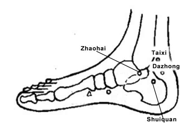 Emplacement du point Shui Quan (5R)